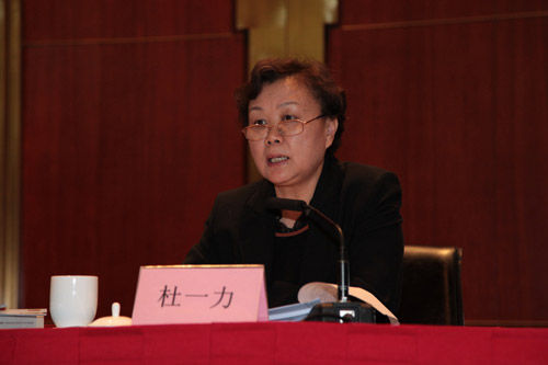 杜一力 资料图